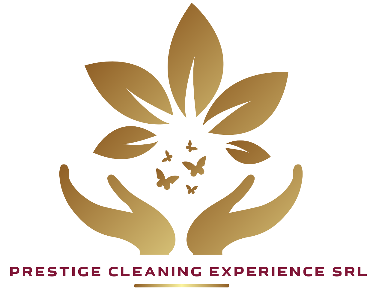 PRESTIGE CLEANING EXPERIENCE